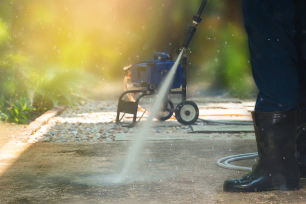 Animal Enclosure Cleaning in Orangeburg, SC